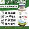 水产em菌种养殖专用em益生菌，养殖虾鱼蟹肥水剂制作em菌液加速生长