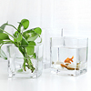 正方形玻璃花瓶水晶鱼缸，多用透明方缸加厚花盆，绿萝水培插花摆件