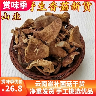 野生香菇干货 云南山珍蘑菇100克装香味浓郁煲汤美味味道鲜美无比