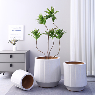 欧式超大口径白色陶瓷花盆，家用客厅落地发财树，幸福树专用户外种树