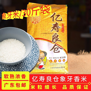 广东品牌亿寿良仓 象牙香米 15kg一级香米大米煲仔饭自然浓香