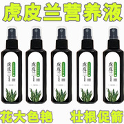 虎皮兰专用肥料花肥控释肥，绿植金边虎皮兰免稀释虎尾兰肥料营养液