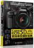 正版Canon EOS 5D Mark III数码单反摄影宝典 德Michael