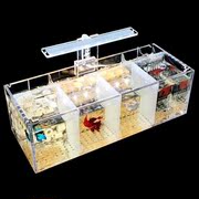 孵化盒观赏孵化斗鱼缸多格玻璃隔离盒长方形金鱼缸(金鱼缸)斗鱼盒鱼缸过滤