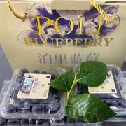 泊里有机蓝莓头茬鲜果现摘有机认证125g*8盒特级果冷链