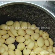 厂促普通土豆脱皮机商用350型450型，电动削皮机多功能去皮清洗机