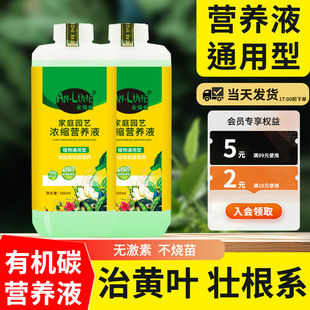 植物营养液通用型家用酸性活力素水培绿植花卉肥料龟背竹冬季花肥