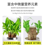 巴西木专用e型营养液肥料盆栽养花通用幸运木水培水养植物肥料家