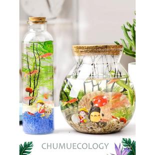 生态瓶科学diy微景观玻璃瓶，小鱼生态瓶，成品小学生科学课作业套装