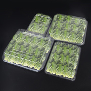 一次性水果蔬菜盒透明带扣打包盒牛羊肉卷大容量加厚绿叶菜包装盒