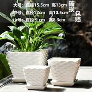 陶瓷花盆带托盘个性创意中国风肉肉花盆长方形塑料花盆大号家用盆