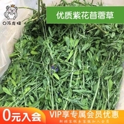 24年新草烘干紫花苜蓿草毛重1kg箱装兔子豚鼠龙猫牧草苜蓿干草