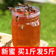 纯正天然蜂蜜农家自产百花蜜，结晶土蜂蜜枣花蜜，原始老山洋槐蜂蜜。