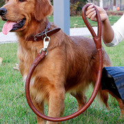 金毛牵引绳小中大型犬耐磨pu皮革，牵狗绳项圈，脖圈绳子一体遛狗神器