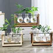 创意木架桌面水培玻璃，花瓶养绿萝植物花盆，容器摆件办公室客厅装饰