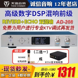 Winner 天逸 AD-208混响器专业家用k歌卡拉ok机前级效果器话筒KTV