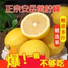四川安岳黄柠檬(黄柠檬)新鲜水果当季现摘香水，柠檬皮薄多汁柠檬整箱3斤装