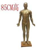 85cm人体针灸模型 针灸铜人模型 穴位铜人 人体经络模型（铜色）