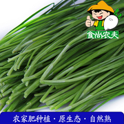 农家韭菜 有机肥生态种植新鲜蔬菜配送500克 广东88元