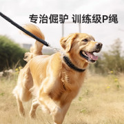 狗狗牵引绳中型大型犬，金毛狗绳子拉布拉多狗，链子狗脖圈狗项圈p链