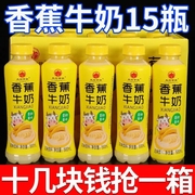 超商同款网红香蕉牛奶，整箱批15瓶四种果，味饮用饮料解渴抢