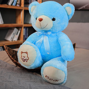 抱抱熊毛绒玩具公仔泰迪熊布娃娃送女朋友，生日礼物玩偶熊睡觉(熊睡觉)床上