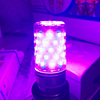LED彩色灯泡e27大螺口粉光紫光蓝色三色变光玉米灯家用装饰节能灯