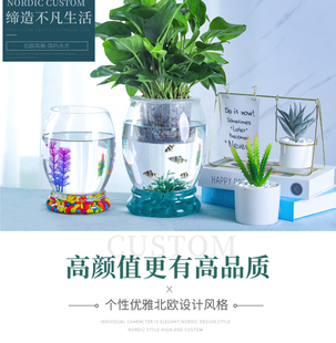 简约绿萝水培玻璃花瓶水养，植物花盆透明大号器皿，富贵竹瓶鱼缸插花