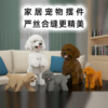 积卡泰迪贵宾犬马尔泰犬积木玩具摆件模型开业新居生日礼物