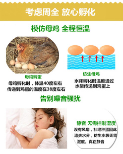 孵化器孵化机智能小型水床孵蛋器迷你家用型全自动小鸡鸭鹅孵化箱