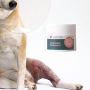 台湾medtobe万用膏宠物，皮炎湿症猫狗真菌细菌伤口，愈合止痒专用药