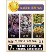 水果蔬菜专用保鲜喷雾杀菌防腐剂安全无毒延长存储食品级抗氧化液