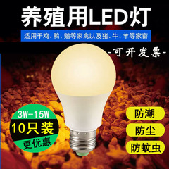 无频闪E27螺口LED暖黄光养殖灯泡
