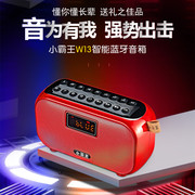 Subor/小霸王W13蓝牙音箱插卡U盘FM收音机晨练跳舞USB录音播放器