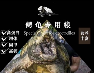 小花龟阁大鳄龟饲料专用龟粮金属黑色质感龟粮大鳄龟食料鳄龟