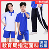 深圳校服套装中学生高中生，初中夏季短袖，短裤蓝白男女春季运动裤子