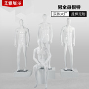 男模特服装展示道具，橱窗男模全身亮白站模假人体男半身模特