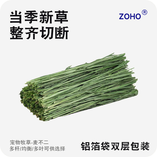 zoho新烘干无穗咔嚓小麦草嫩苗兔子龙猫荷兰猪干草天然排毛膏500g