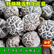 野生花菇500g特级香菇冬磨菇泌阳土特产干货产地食用产品