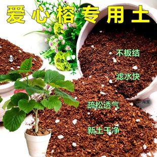 爱心榕专用土榕树盆景通用型营养土木本培植土养花盆栽花卉有机土