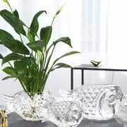 水培加厚小鱼小花瓶可爱造型器皿玻璃花瓶摆件客厅创意绿萝装饰品