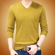 时尚品质秋装长袖t恤纯色V领青年男士薄款打底衫休闲羊毛针织线衫