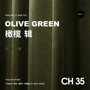辑 35 橄榄绿墨绿色丝绒窗帘轻奢复古2021年客厅卧室遮光绒布
