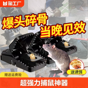 老鼠贴超强力粘鼠板胶粘大老鼠特效药扑捉老鼠夹捕鼠神器家用鼠笼