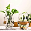 恐龙蛋花瓶 简约 透明玻璃花瓶 水培绿萝富贵竹水养植Y物玻璃花盆