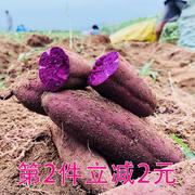 紫罗兰新鲜大紫薯地瓜农家自种紫心大紫番薯红薯五斤装价现挖