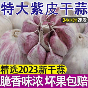 富之鲜山东金乡大蒜头，干蒜5斤装紫皮，2斤新鲜多瓣农家2023种子10斤