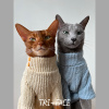 毛衣 三角脸无毛德文阿比暹罗豹猫秋冬季保暖高领针织猫咪衣服