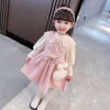 女童连衣裙套装春秋款，2023儿童公主，裙子女宝宝时髦洋气两件套