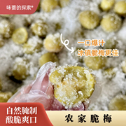 味蕾的探索农家脆梅酸甜脆爽开胃解腻潮汕特产蜜饯果脯500克